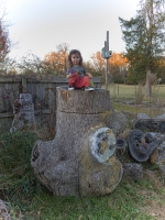 Speaking for the Trees