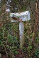 You've Got No Mail