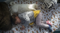 Cat Napping