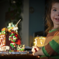 Gingerbread Disaster Zone