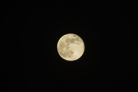 Moon Spotting with Fay