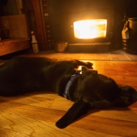 Do Not Disturb