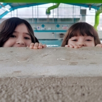Sea Monkeys