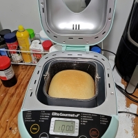 Loafing Around