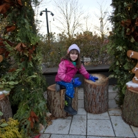 Tea with Mr & Mrs Bread