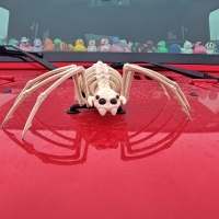 Jeepers!