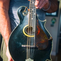 Gibson-F4