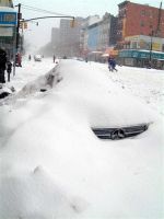 What We Need Is More Snow