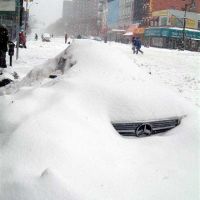 What We Need Is More Snow