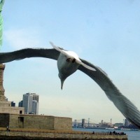 FlyBy