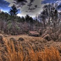 Kudzu House