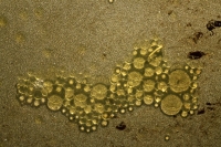 Its the Little Things