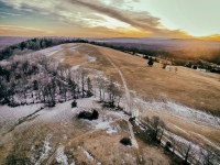 Burger Hill