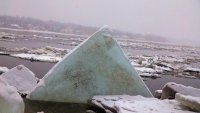 Ice Shark