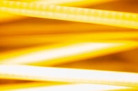 Abstract Light