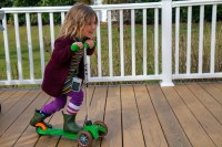 Scoot Shoot