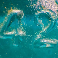 42
