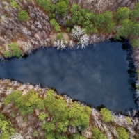 Three Corner Pond
