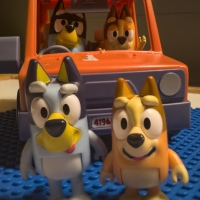 Bingo & Bluey