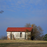 Shed in a Field