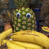 Undercover Pineapple
