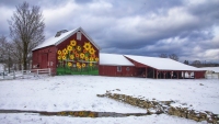 Flower Barn