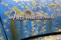 International Blue