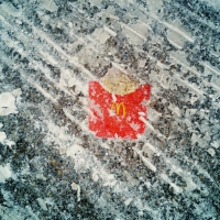 Snow To Go