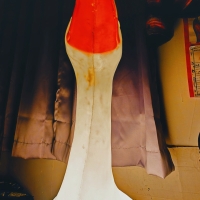 Hail Goose