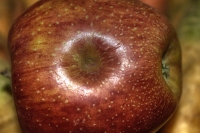 The Eye of My Apple