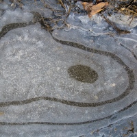 It Looks Like A Finger Print