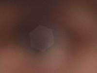 Introspection - DV cam