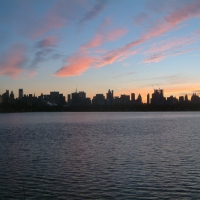 Manhattan Skyline Central Park