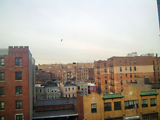 Brooklyn