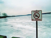 No Shit