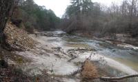 Bayou Camping