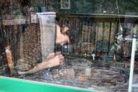 Through the Potters Window