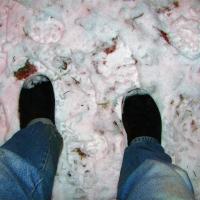 Snow Slippers