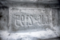 Snow Plate