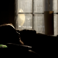 Sleepy Start