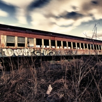 The Gravy Train