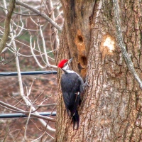 Our Noisy Neighbour