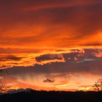 Painted Sky
