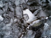 River Scales