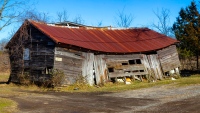 The Cat Shack