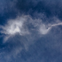 Wispy Whale