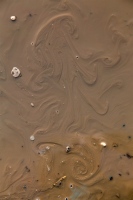 Puddle Pattern