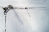 Winter's Pallet