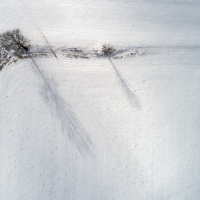 Winter's Pallet