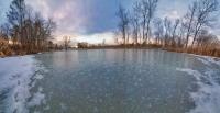 Seeking Ice Skates (Size 10.5)
